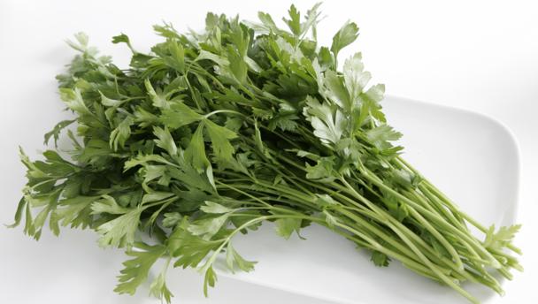 Petržlenová vňať hladká. / 1kg